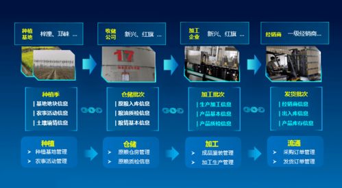 科技賦能，守護“天府糧倉”——川糧集團以全產業鏈云碼溯源引領糧油質量安全新標桿